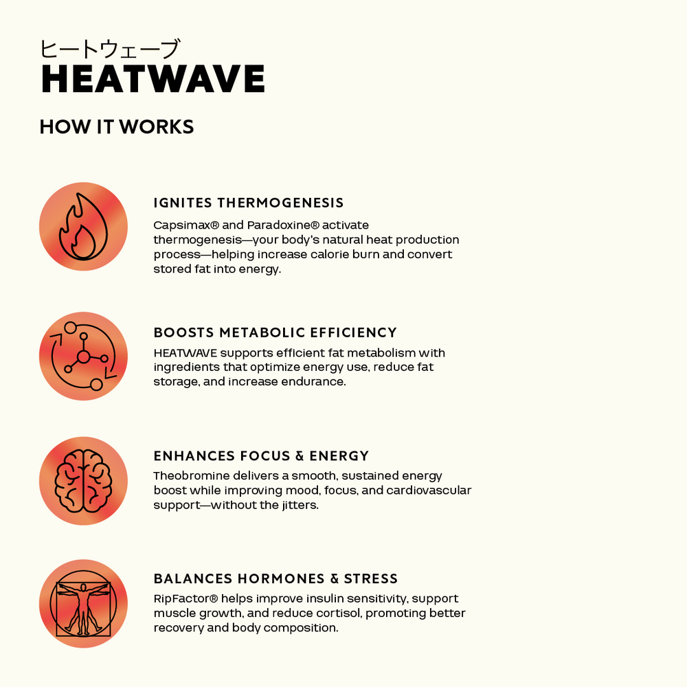 
                  
                    HEATWAVE 2 PACK - CLEVER PRO BY TORA LABS
                  
                